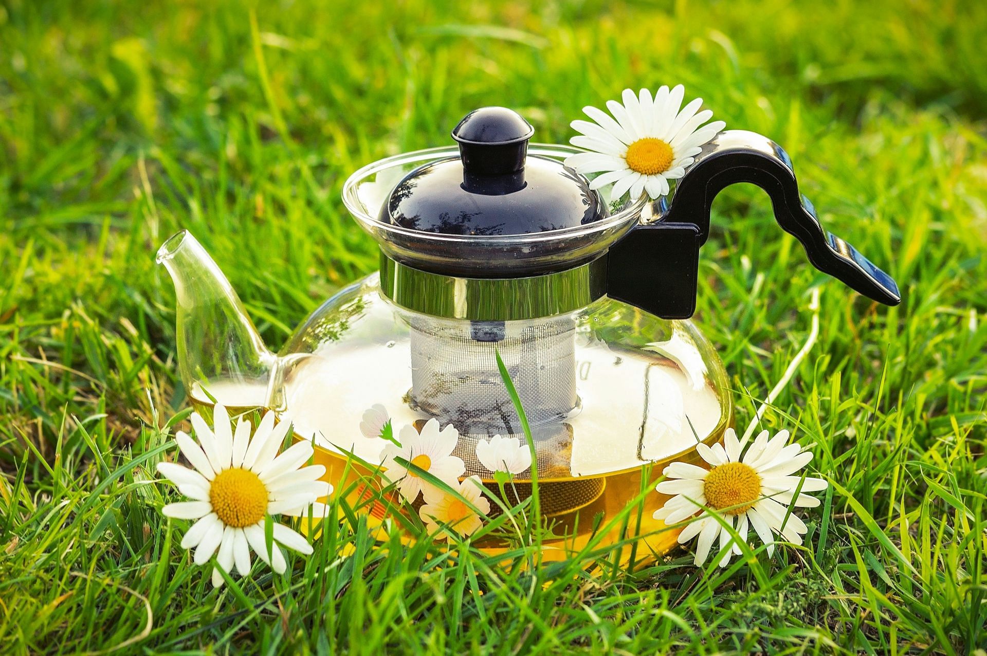 Lung Detox with herbal teas (Image by Vitolda Klein/Unsplash)